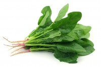 Espinaca